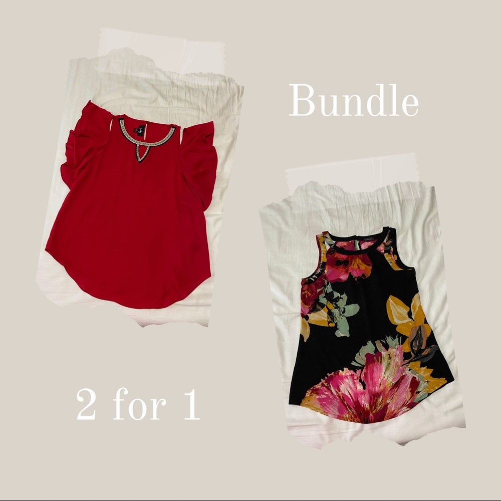 Bundle: 2 Women's Blouses